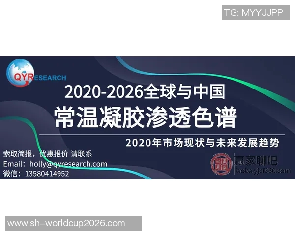 北京羽毛球队边路渗透创新策略解析与未来发展展望MBA